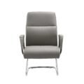 Lexus visitor Office chair 2